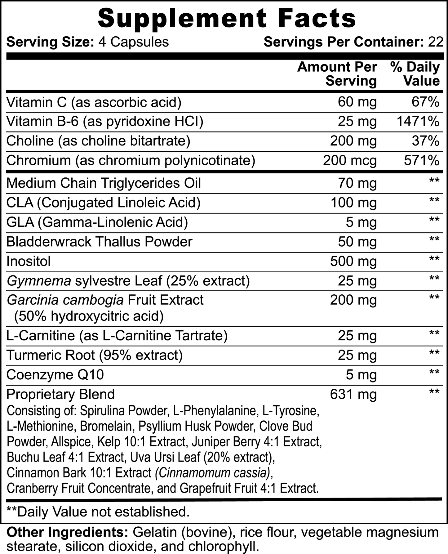 Fat Burner with MCT - 90 Capsules