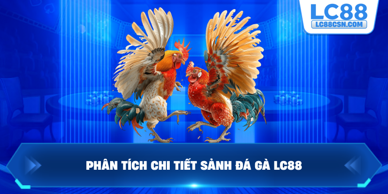 Phân tích chi tiết sảnh đá gà LC88
