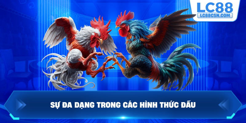Sự đa dạng của các hình thức đá gà nổi bật